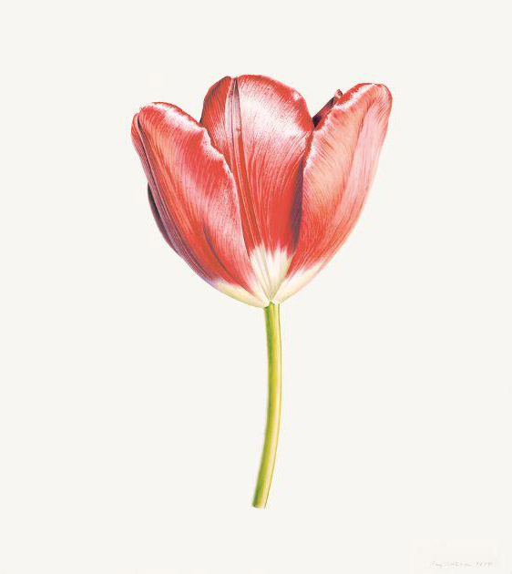 Rory-McEwen-Flower